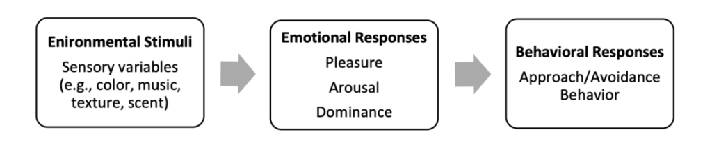 The Stimulus-Organism-Response Theory – Jean Pfiffelmann